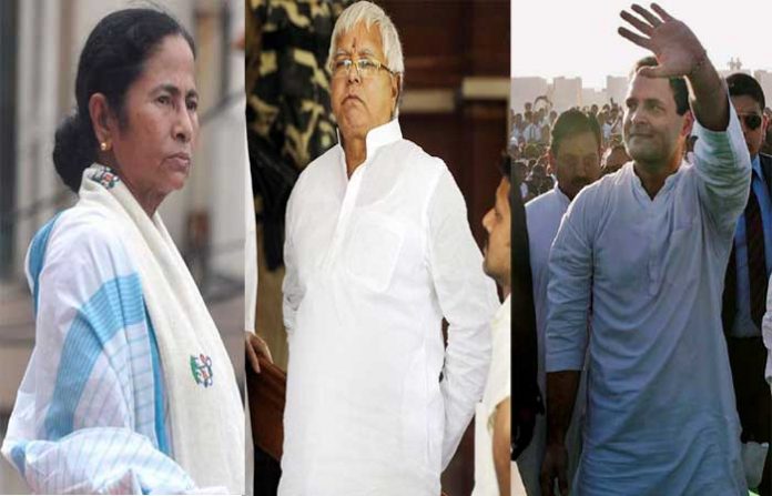 laloo-team