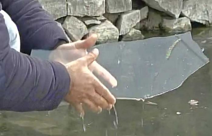 dal-lake