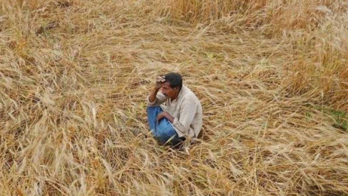farmer-loan