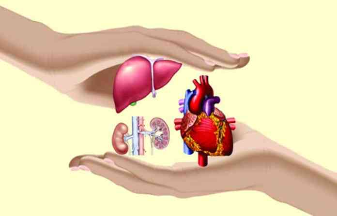 organ-donation