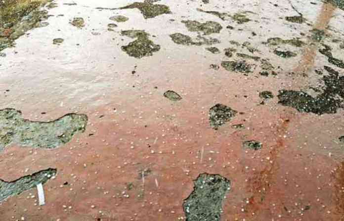 rain