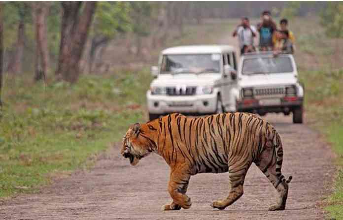 tiger-reserve