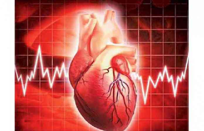 heart