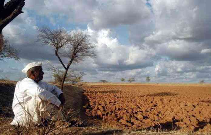 farmer