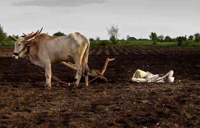 farmer-strike