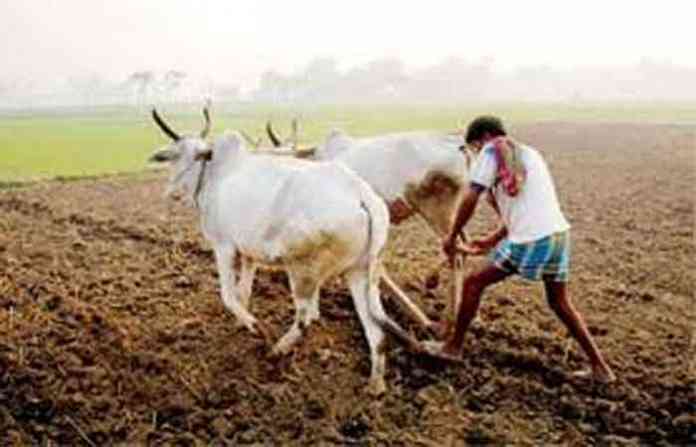 farmers