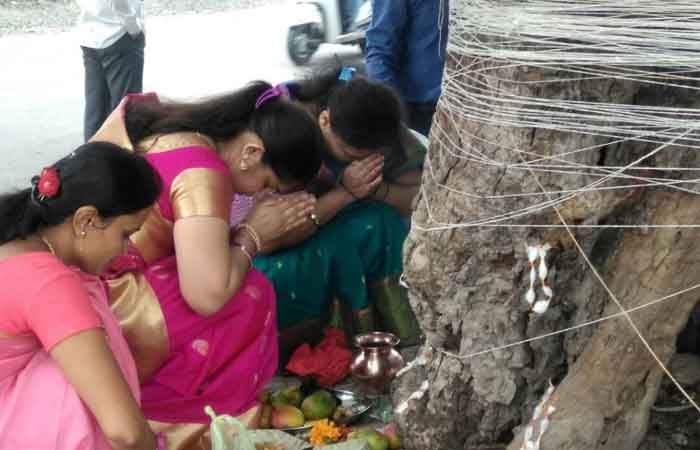 वट पौर्णिमेची पूजा