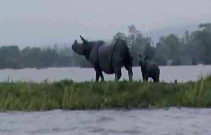 kaziranga-national-park