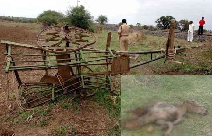 rail-accident-farmer