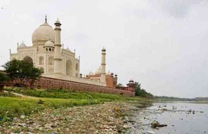 taj-malala