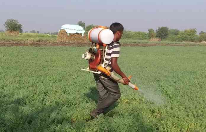 pesticide