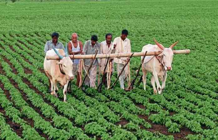 farm