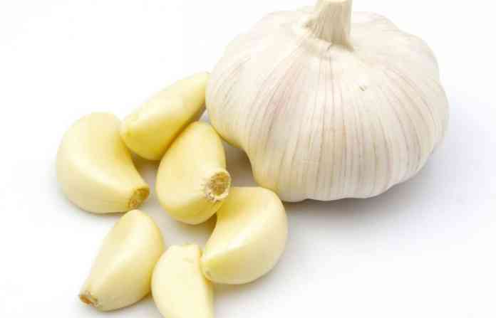 garlic
