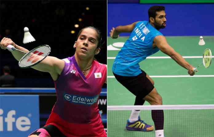 saina-pronnoy