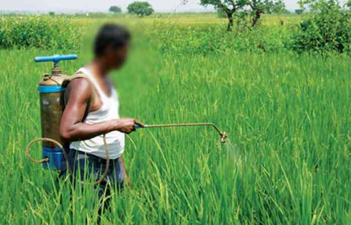pesticide-india