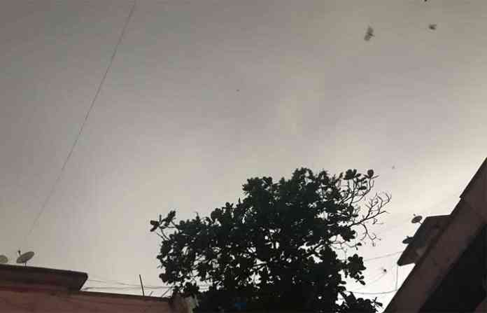 rain