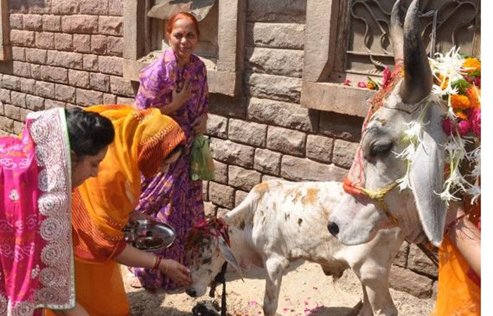 घरातील स्त्रिया गाईच्या पायावर पाणी घालून, हळद, कुंकू, फुलं, अक्षता वाहून फुलांची माळ त्यांच्या गळ्यात घालतात. निरांजनाने ओवाळून गाईला केळीच्या पानावर पुरणपोळी खाऊ घालतात.