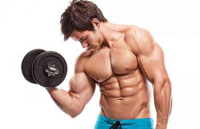 gym-bodybuilder