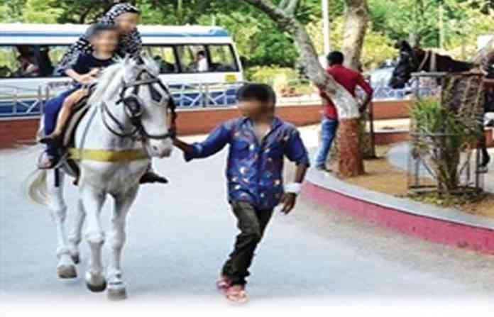 horse-riding