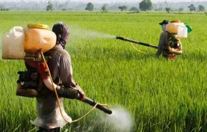 pesticide