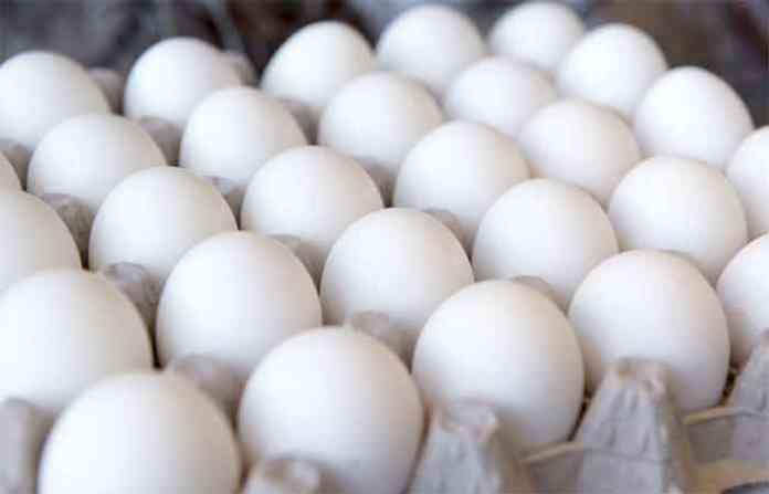 eggs-4