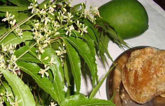 jaggery-neem-gudipadwa