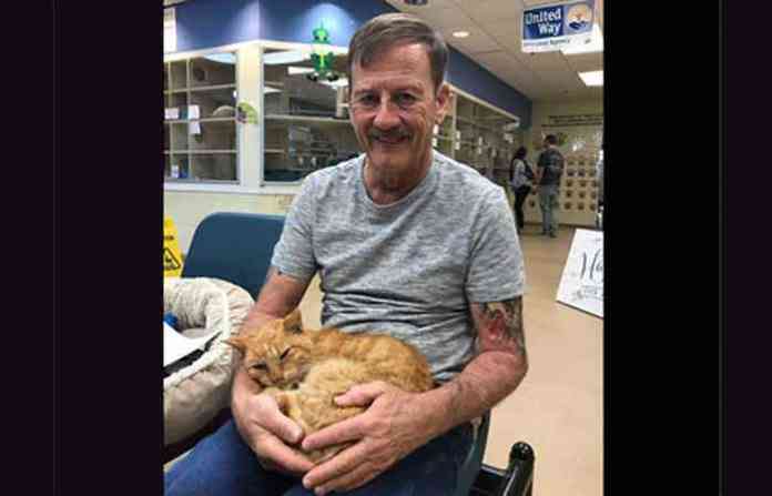 missing-cat