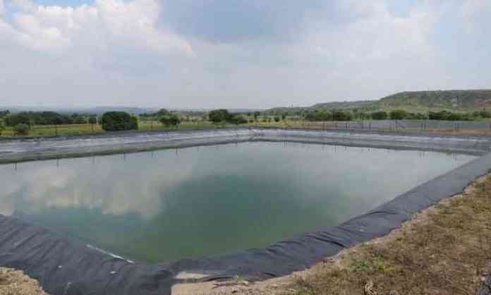 farm-pond