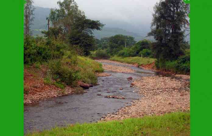 aranya-1