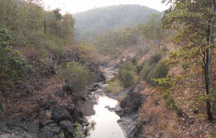 railway-root-utsav