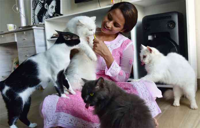 smita-tambe-cat