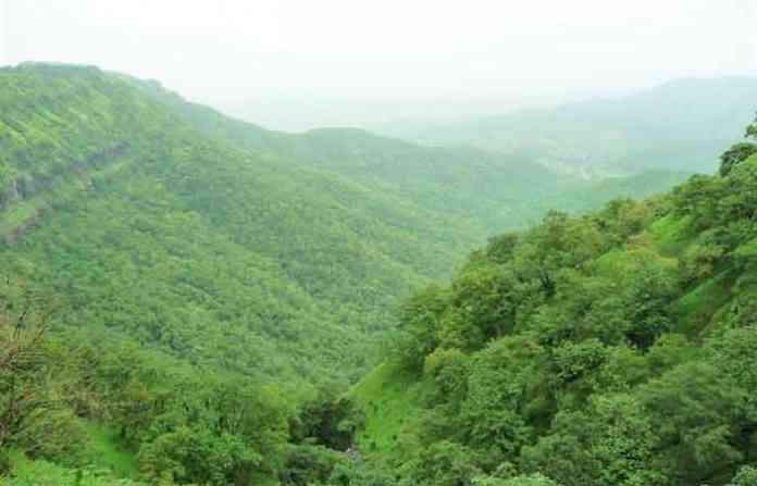 scene-1