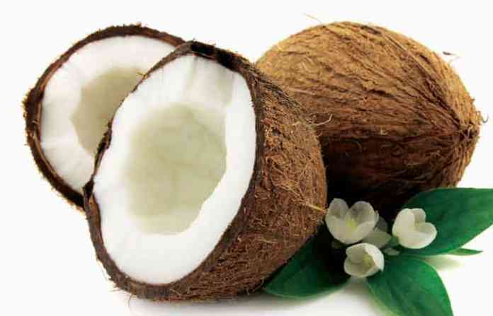 coconut-12