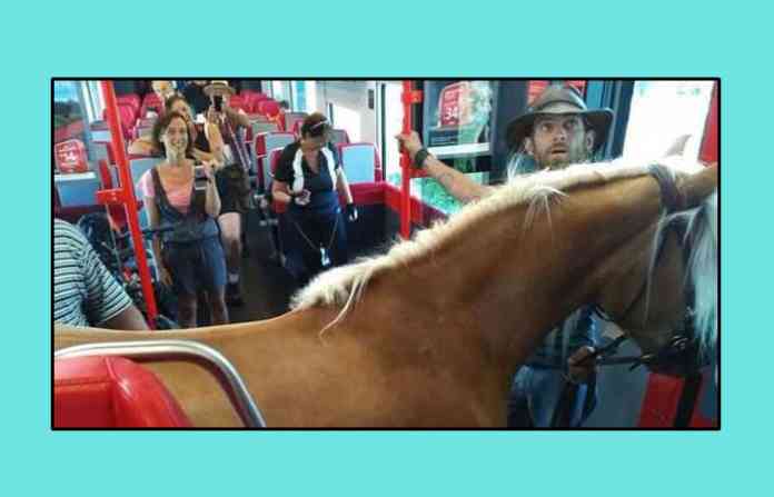 man-tries-to-enter-in-train