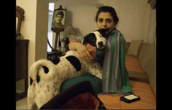 pets-1