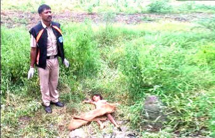 dead-body