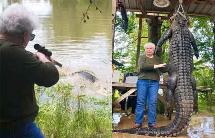 granny-alligator