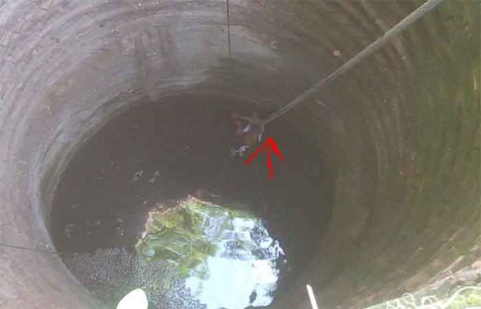 man-in-well