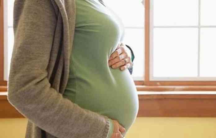 pregnent