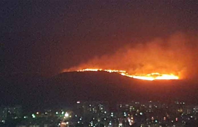 fire Aarey Colony forest