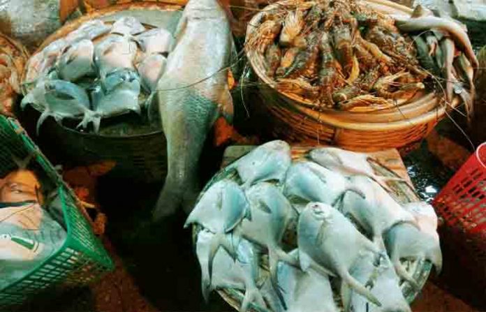 vasai-fish