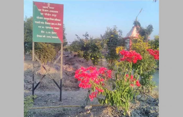 latur-limbala-garden
