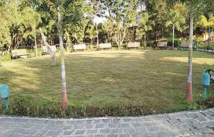 park-15