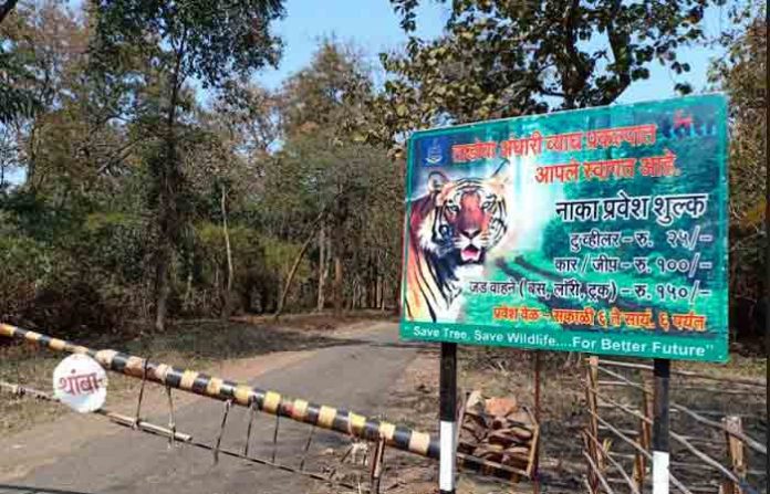tadoba-100