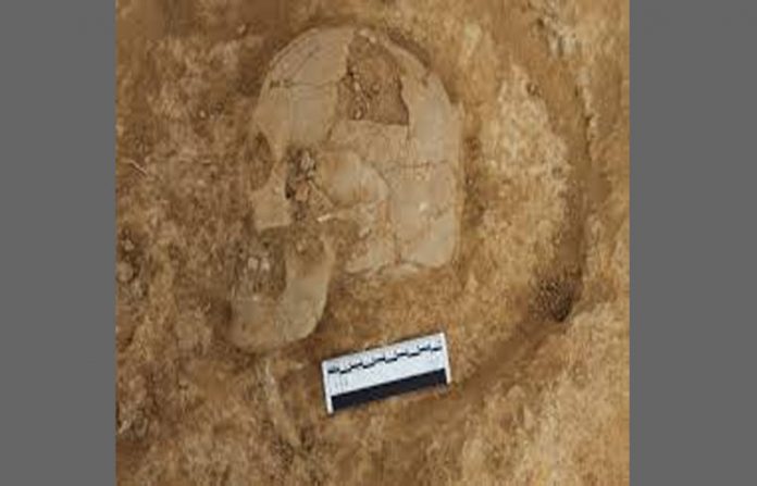 gujrat-skeleton