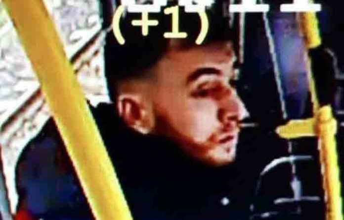 tram-f