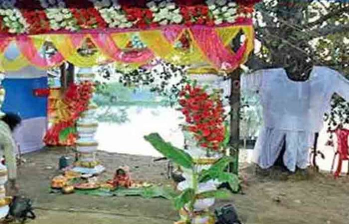 tree-marriage