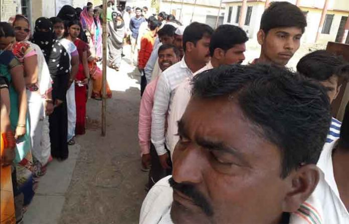 beed-voter