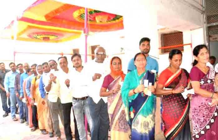 hingoli-voting