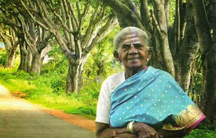thimmakka